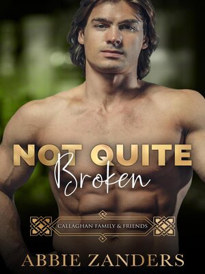cover image of Not Quite Broken